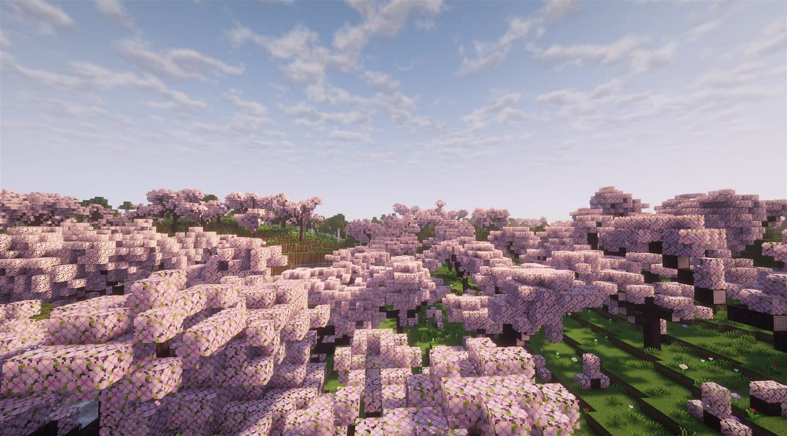 Cherry Fields biome in Soul Society