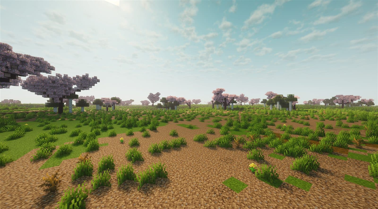 Rukongai District biome in Soul Society