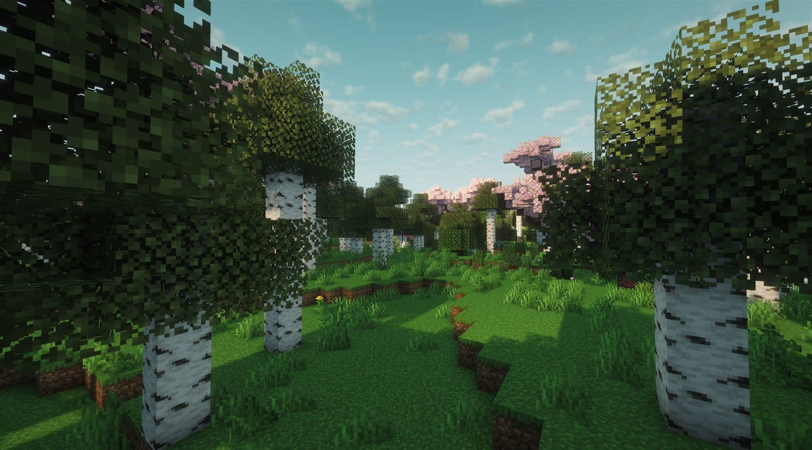 Soul Forests biome in Soul Society